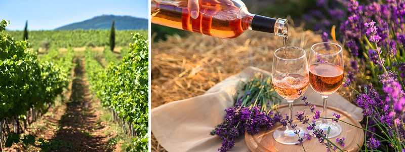 Den exklusiva orten Saint Tropez med båtar och färggranna hus.