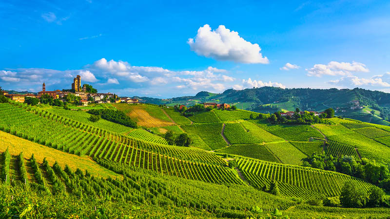 Vinmarkerne i Piemonte regionen, Italien