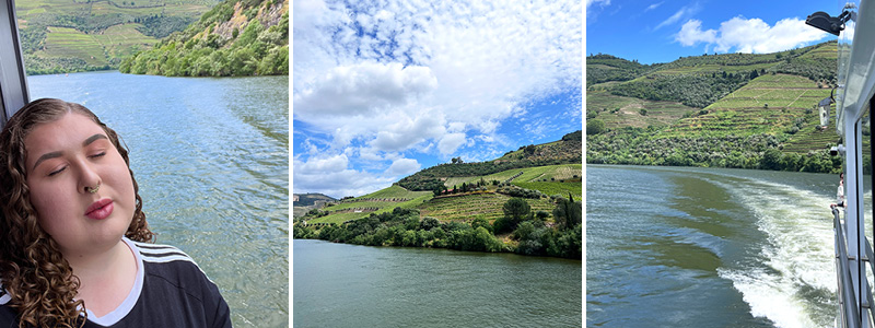 A collage of a river and a hillDescription automatically generated