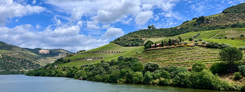 A green hill with trees and a body of waterDescription automatically generated