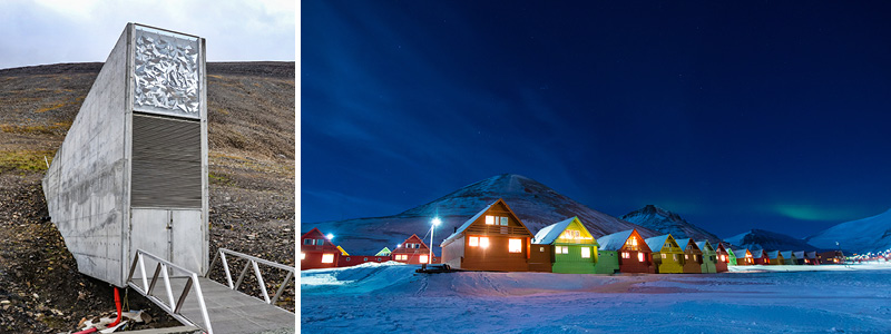 Frøbanken og Longyearbyen