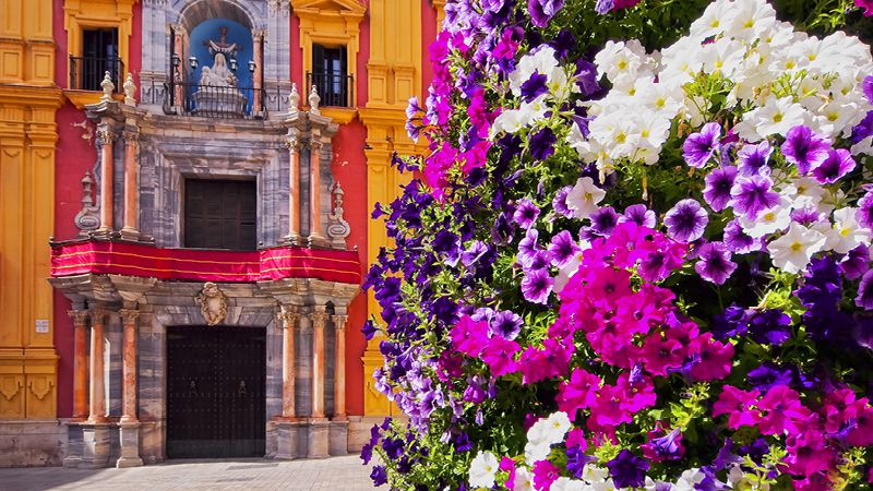 lilla och rosa blommor framfr vacker byggnad i spanien