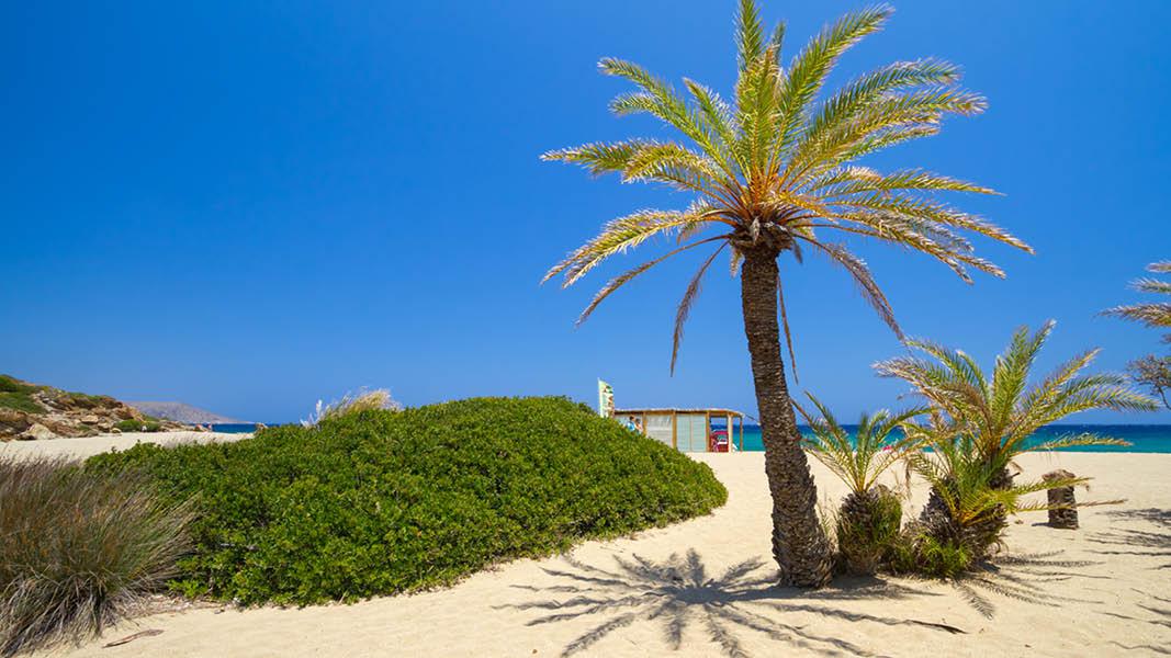 Strand i Elafonissi, Kreta