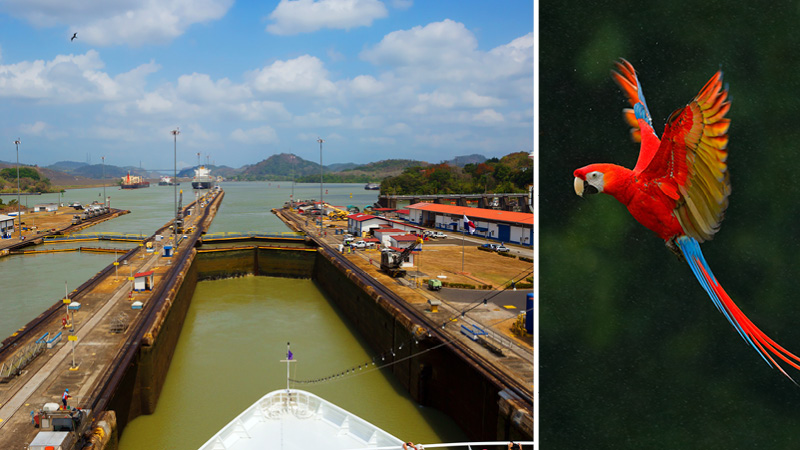 Oplev Panamakanalen med Kulturrejser