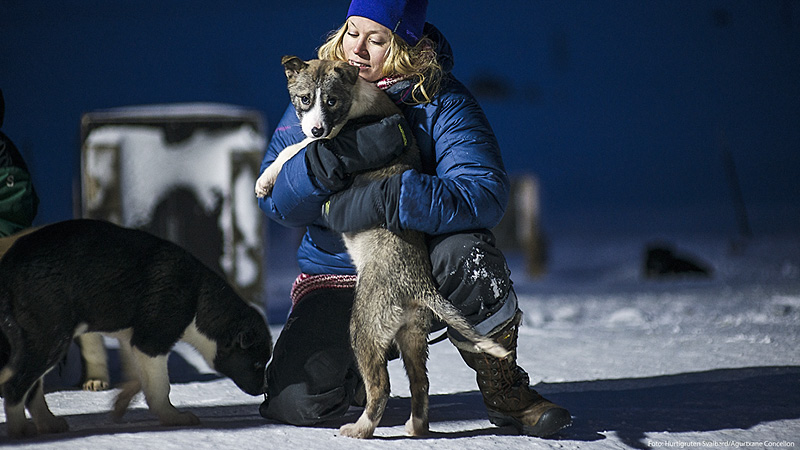 Slædehund i Svalbard, Norge