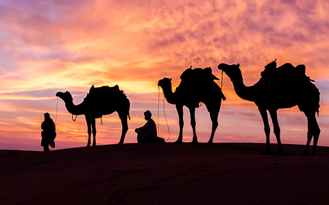 Oman - det fortryllende ørkenland