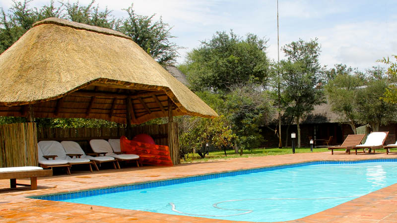pool p Temba Safari Sydafrika